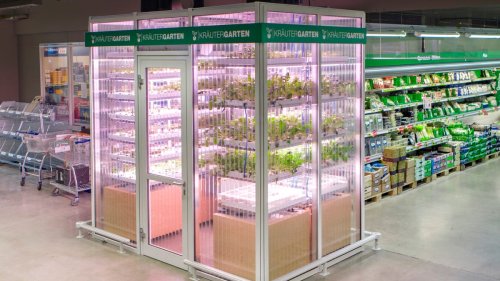 A startup that wants to end world hunger is starting with a tiny indoor vertical farm