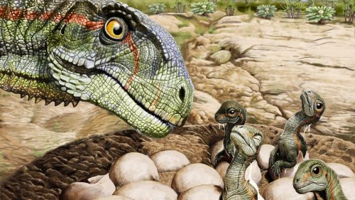Paleontology - cover