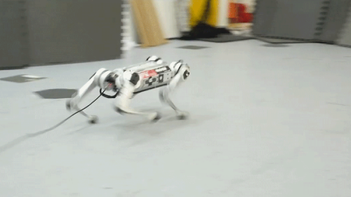 MIT's Robotic Cheetah Taught Itself How to Run and Set a New Speed Record in the Process