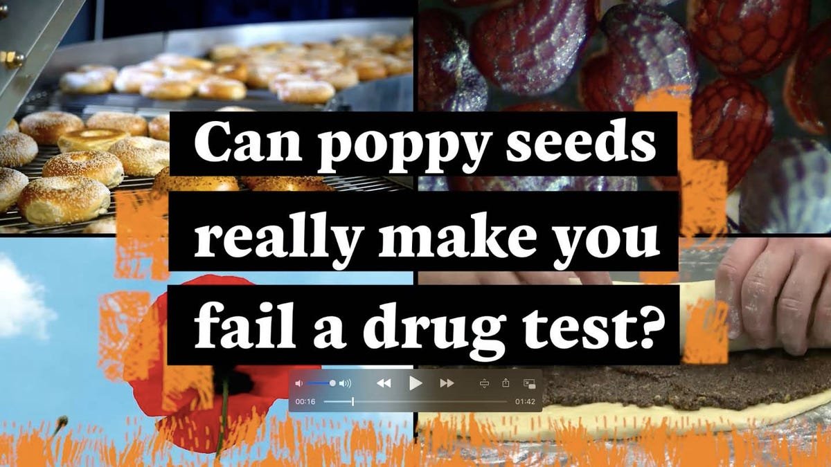 Can eating poppy seeds make you fail a drug test?