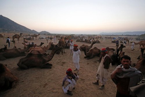 India's desert state is getting wetter — and that's not good news