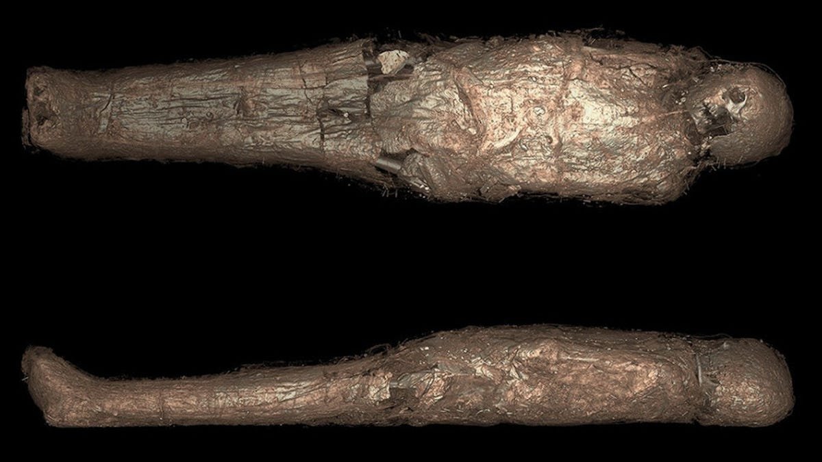 Analysis of Ancient Egyptian Mummy Reveals Unusual Mud Ritual