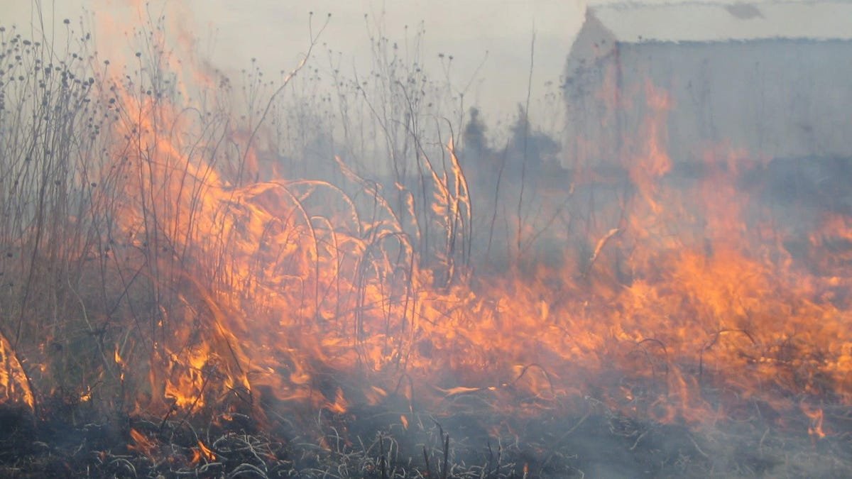 The Midwest’s Active Fire Season Is a Warning