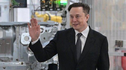 Elon Musk Proves Yet Again That He's Just Not Very Bright
