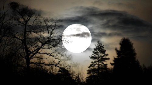 When to See the 'Cold Moon' in December