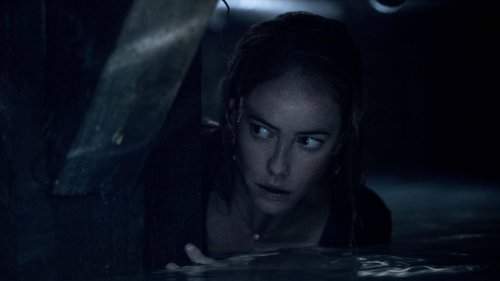 Lohnt sich auch im Stream: Dieser Tier-Horror ist Quentin Tarantinos Lieblingsfilm aus 2019