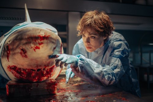 Selbst große Hollywood-Blockbuster beugen sich diesem Netflix-Film: Wichtiges Update zur Horror-Fortsetzung