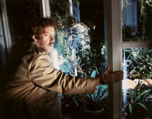 Montag im TV: Einer der legendärsten Horrorfilme, dessen Ende immer noch schockt