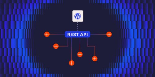 Customizing WordPress for developers: developing custom REST API endpoints