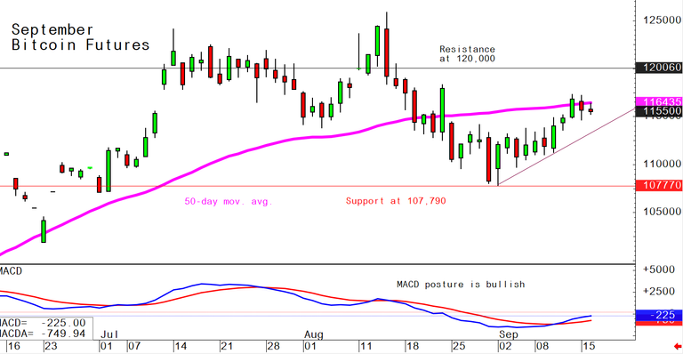 Bitcoin September 16 daily chart alert - Bulls enjoying price uptrend in place