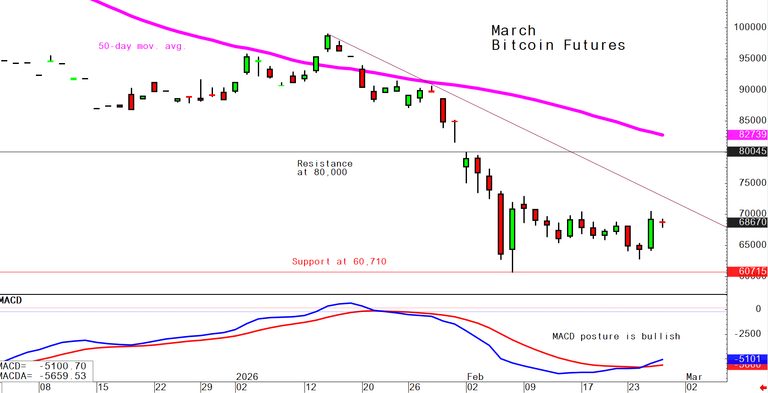 Bitcoin Feb. 26 daily chart alert - Bullish MACD crossover signal