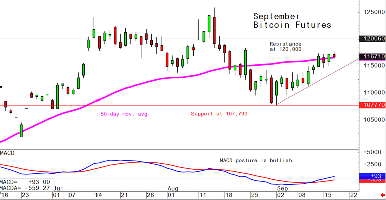 Bitcoin September 17 daily chart alert - Price pokes to 3-week high