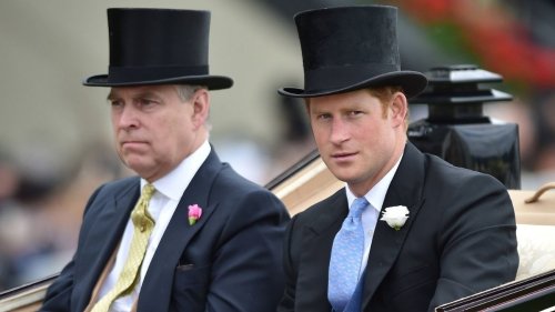 Körpersprache Experte: Prinz Andrew und Prinz Harry sind sich ähnlicher als alle dachten