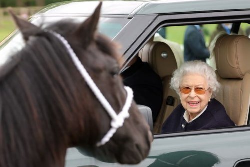 Gerade nochmal gut gegangen: Queen fast nicht zur eigenen Pferdeshow reingelassen