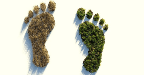 Ökologischer Fußbabdruck: So bestimmst Du Deine Öko-Bilanz
