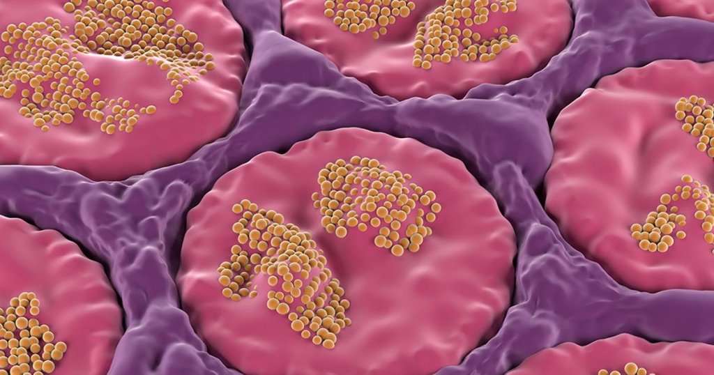 The Latest Health News & Research