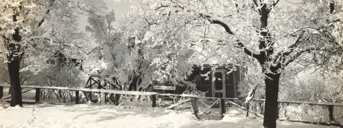 Science stories for the holiday season