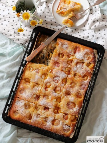 Saftiger Aprikosen-Blechkuchen – blitzschnell & einfach gebacken!
