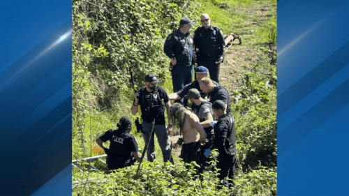 Man jumps into Green River while trying to escape Tukwila police