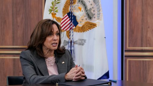 VP Harris parrots dubious claim Roe v Wade ruling could upend gay marriage, contraception