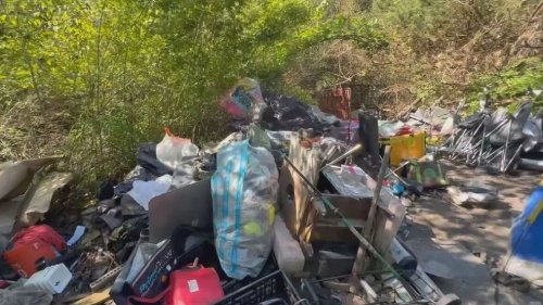 10,000 pounds of trashed removed from Seattle park