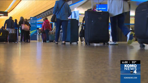 Travel at SeaTac Airport this holiday weekend has seen only a few bumps , travelers say
