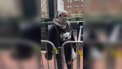 Masked NYC protester declares 'we are Hamas' during pro-Palestine demonstration