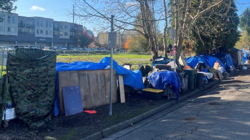Seattle City Council questions efficiency of King County's homelessness strategies