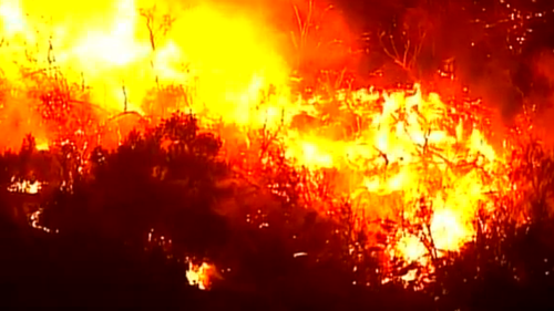 Massive wildfire rips through 30 acres in New Mexico