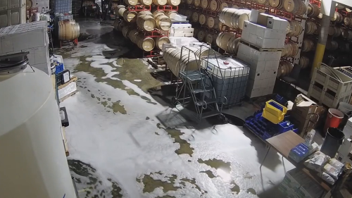 Mystery person drains thousands of gallons from Woodinville wine cellar, $600K damages