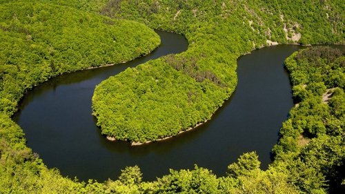 Attendez, la forêt amazonienne, c’est seulement à 300 bornes de Paris ?