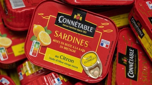 Pas un poisson d’avril : la sardine en boîte menacée par le réchauffement climatique