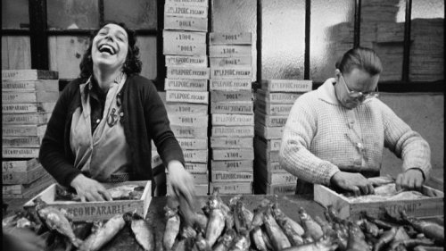 Jean Gaumy, filets et sous-marins : le musée de la Marine dévoile deux expos iodées