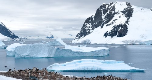 10 Tipps für Antarktis Reisen, die Du wissen musst!