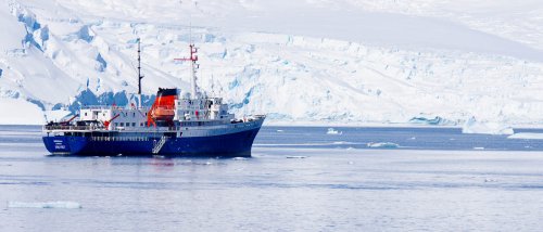 21 Sehenswürdigkeiten in der Antarktis, die Du sehen musst