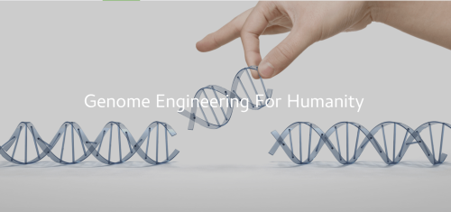 Korean pharmaceutical startup HuMab heralds a new era of genome engineering