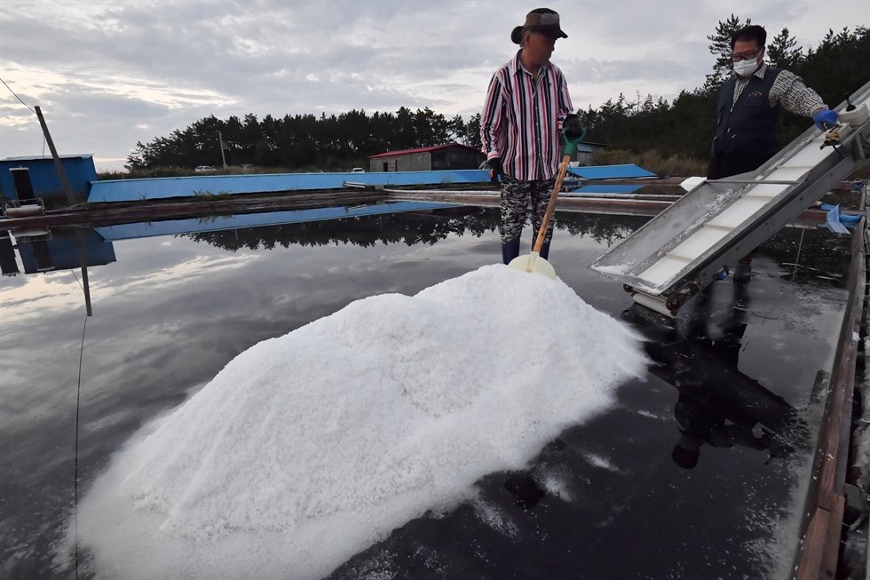 People rush to purchase sea salt ahead of Fukushima wastewater discharge |  Flipboard