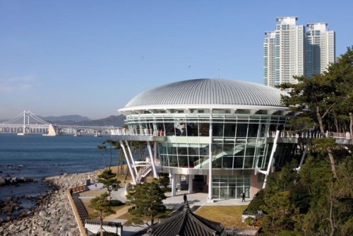 Busan bows out of race to host 2025 APEC summit