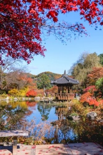 Garden of Morning Calm: A Botanical Garden Paradise in Korea