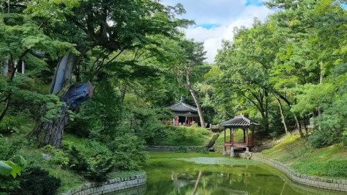 The Secret Side of Seoul: Top 10 Tourist Attractions You’ll Wish You Knew Sooner