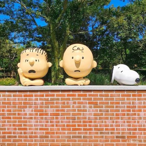 A Visit to the Snoopy Garden in Jeju | Flipboard