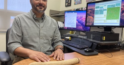 San Diego State anthropology professor builds an extinction calculator