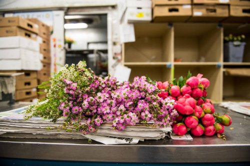 Psychologist on Why Funerals Are Fundamental to Processing Grief | KQED