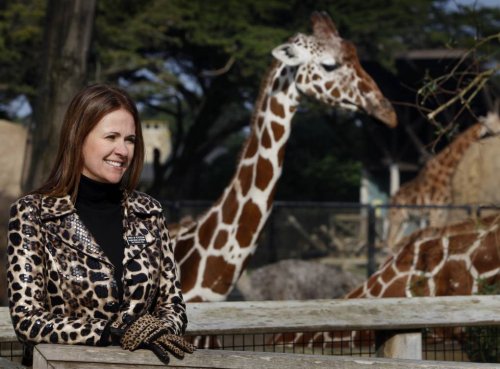 Trouble at San Francisco Zoo Could Soon Lead to CEO’s Removal