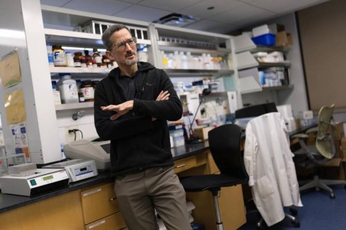 What Losing Billions in Federal Grants Means for Universities, and the Nation