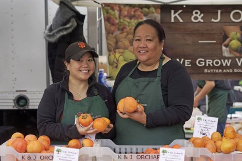 Fresh Farmers Market Picks for Your Holiday Table
