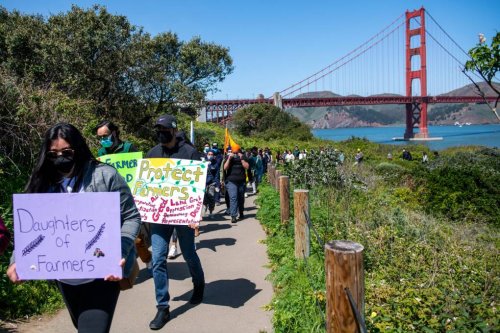 'The Same Hands That Feed Us': San Franciscans Rally in Solidarity with India's Farmers Protest | KQED