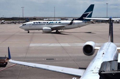 Canadian Tourists Say They Are Avoiding the United States 'Due to Fear'