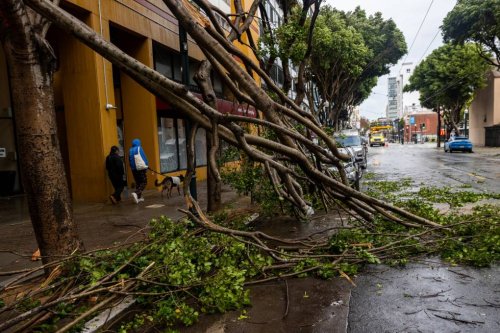 The Bay Area Is in Store for a Windy Weekend