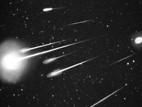 How to See the Leonids Meteor Shower in the Bay Area This Weekend